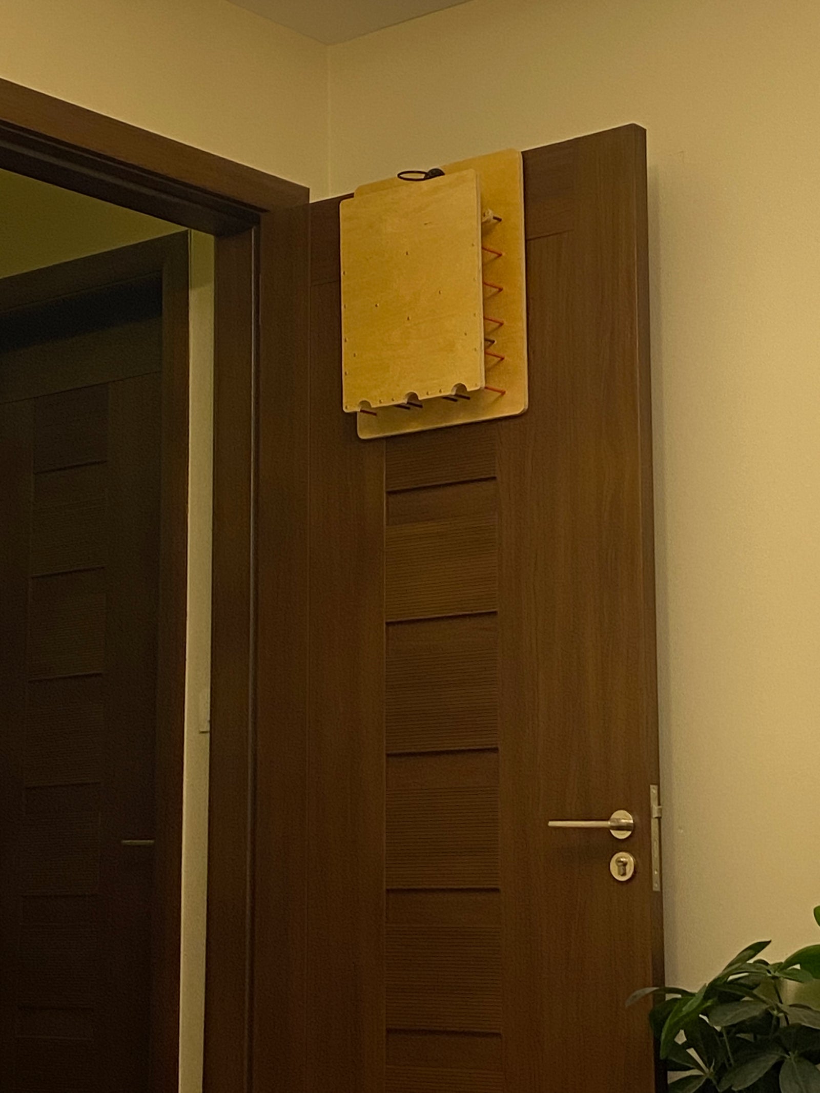 Z1 - Reflex Trainer & Focus Exercise