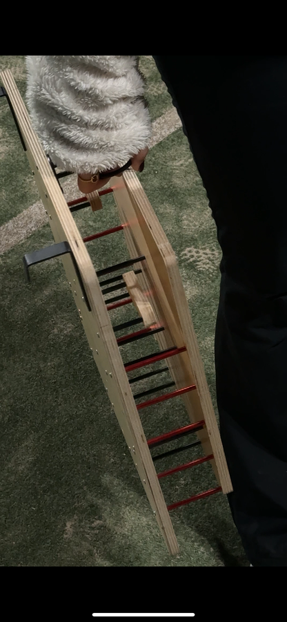 Z1 - Reflex Trainer & Focus Exercise