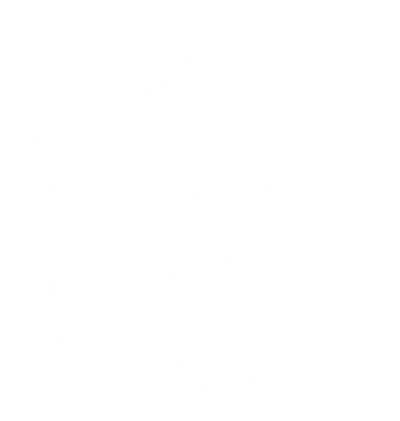 Elite Reaction Performance